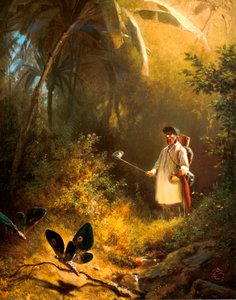 Le Chasseur de Papillons